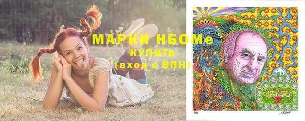 прущие грибы Лагань