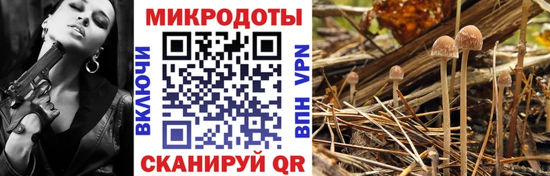 Псилоцибиновые грибы мухоморы  Купить закладки  Кропоткин 